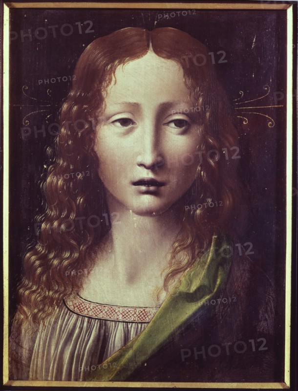 'Head' work by Leonardo da Vinci.