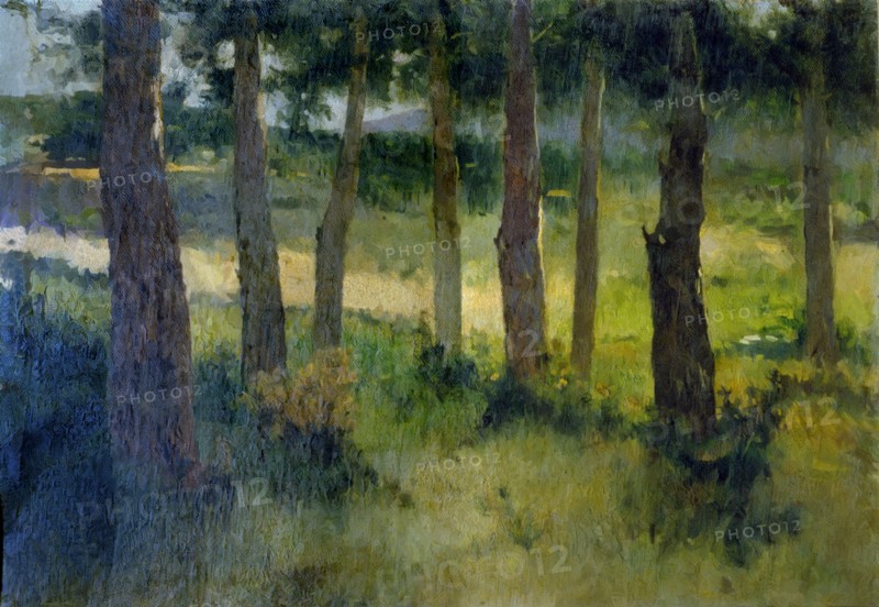 Forest', by Joaquim Vayreda.