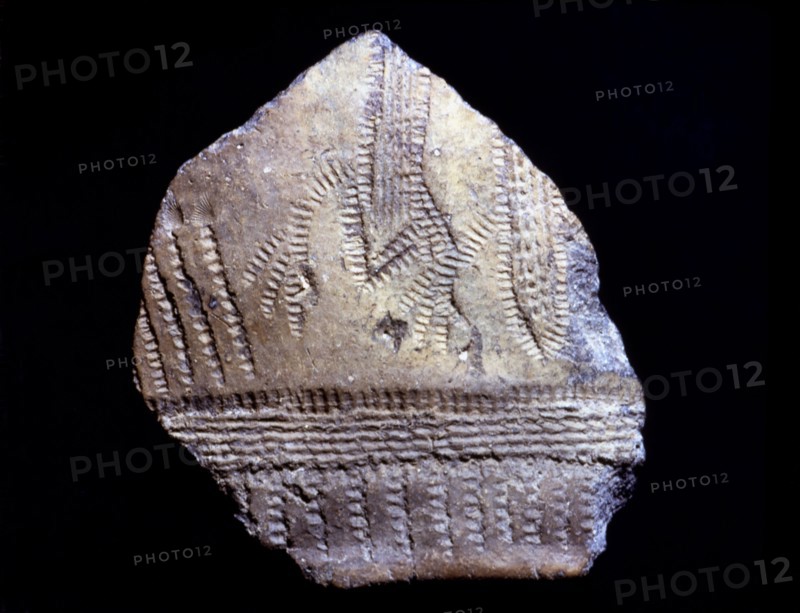 Cardium pottery fragment with anthropomorphic figures, they seem two persons with arms raised as ?