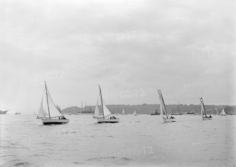 Group of Solent Sea Birds, 1922. Creator: Kirk & Sons of Cowes.