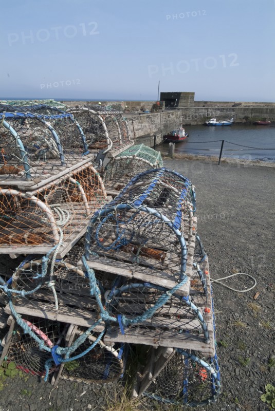 Craster, 2006. Creator: Ethel Davies.