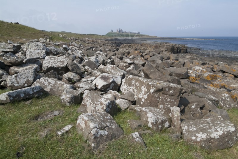 Dunstanburgh, 2006. Creator: Ethel Davies.