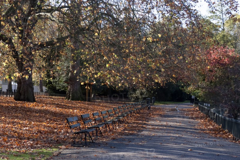 UK, London, Battersea Park, 2009. Creator: Ethel Davies.
