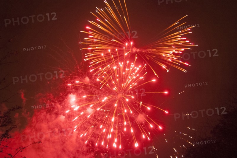 UK, London, Guy Fawkes, Ravenscourt Pk, 2009. Creator: Ethel Davies.