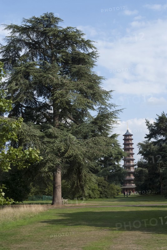 UK, London, Kew Gdns, 2009. Creator: Ethel Davies.