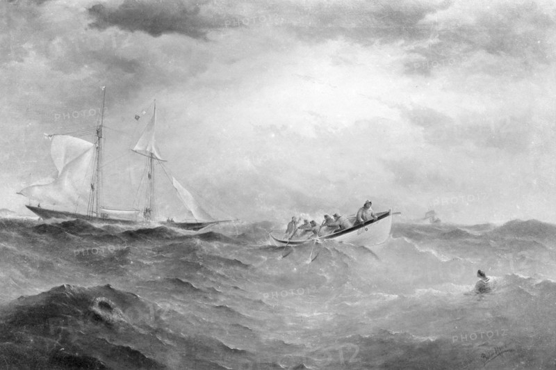 Mrs Chandler. 'Golden Fleece' RYS painting. Creator: Kirk & Sons of Cowes.