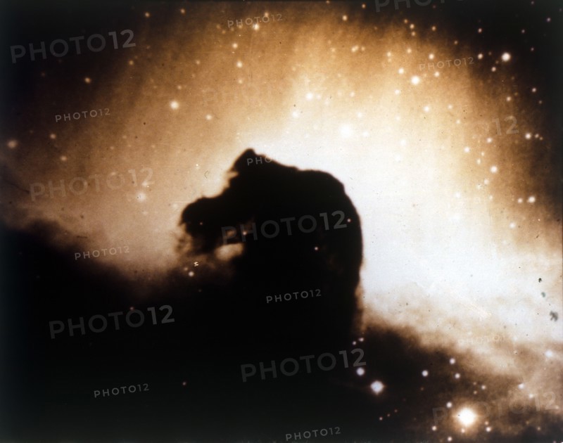 Horsehead Nebula in Orion. Creator: NASA.