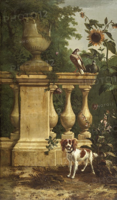 Pigeons and a dog in a garden, c1660-1690. Creator: Melchior d'Hondecoeter.