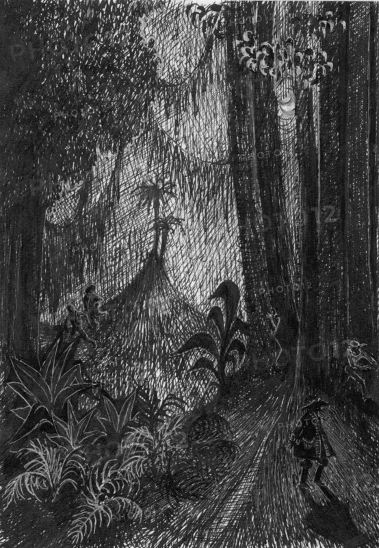 Pirate in the rainforest, 1953. Creator: Shirley Markham.