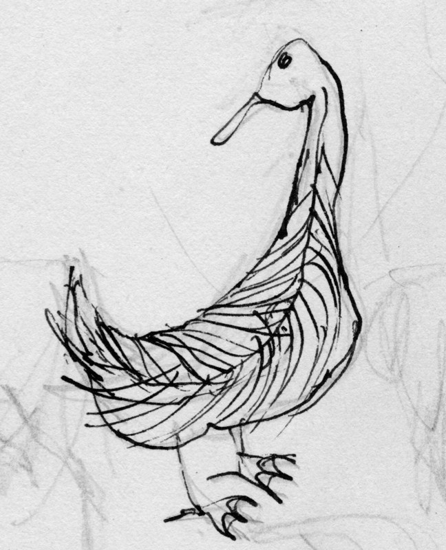 Bird, c1950. Creator: Shirley Markham.