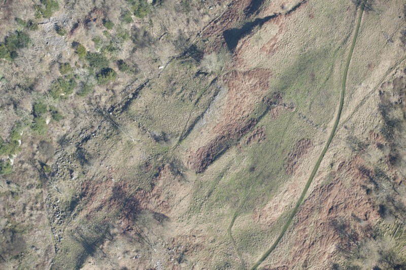 Romano-British enclosed settlement containing a hut circle, Whitcliffe Scar, North Yorkshire, 2014 Creator