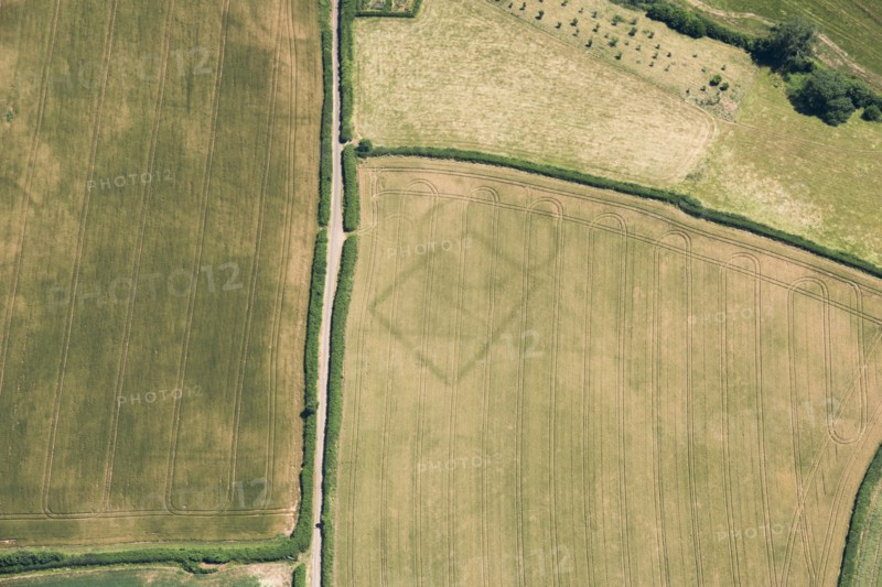 Prehistoric farms, Stogumber, Somerset, 2018