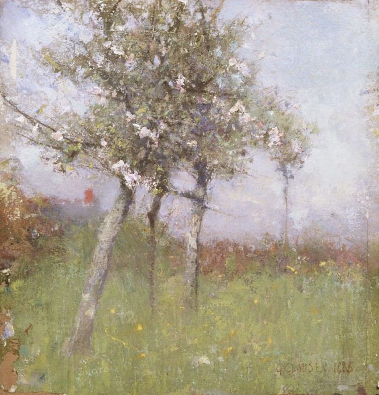 Apple blossom, 1885.