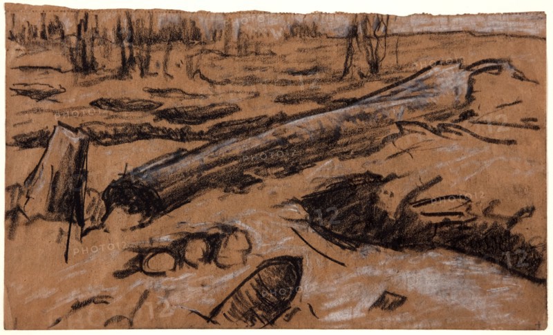 A Fallen Tree, c1914.