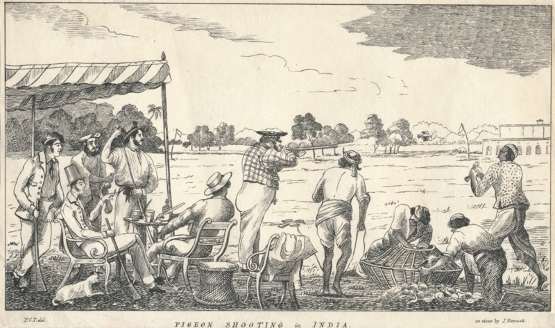 Pigeon Shooting in India', 19th century.