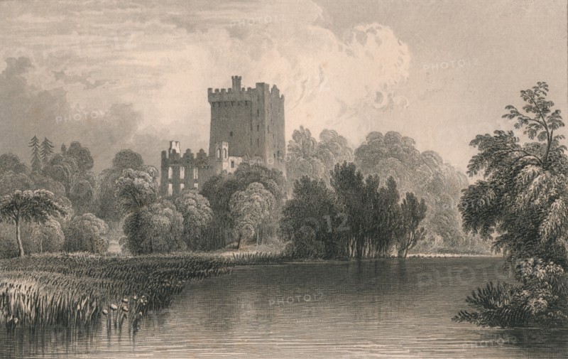 Blarney Castle, Co. Cork', 1831.
