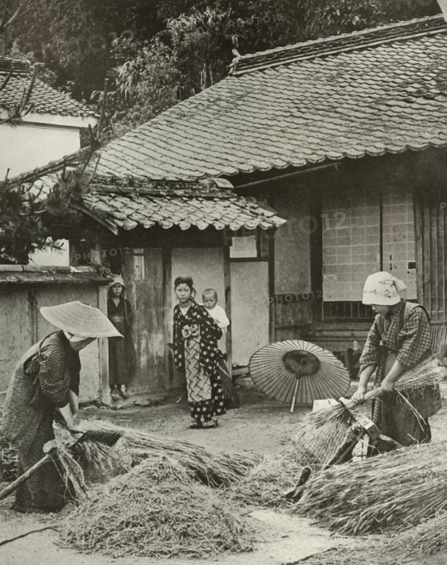 Peasant Women Heading Barley', 1910.