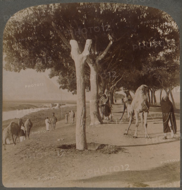 The Road to the Pyramids, Egypt', 1896.