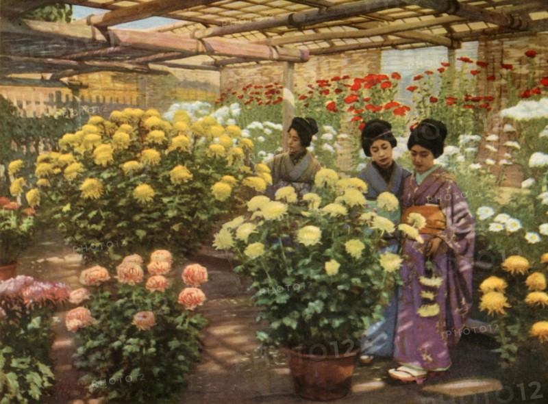 At the Chrysanthemum Show', 1910.