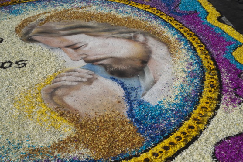 Holy Week Surco Flower Carpet, Lima, Peru, 2015.