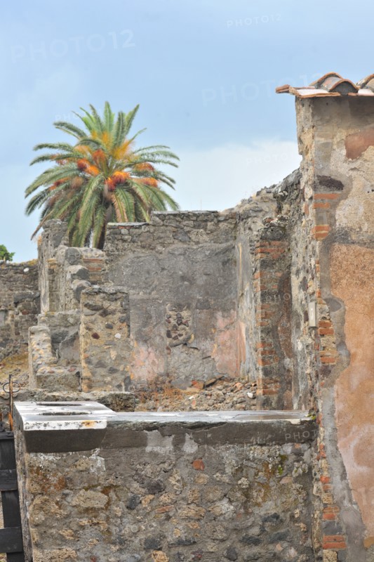 Pompeii, Campania, Naples, Italy, 2015.