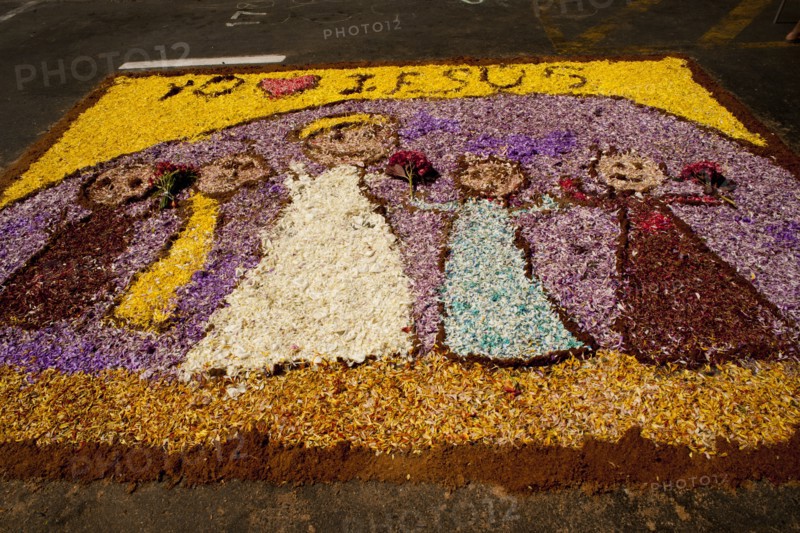 Holy Week Surco Flower Carpet, Lima, Peru, 2015.