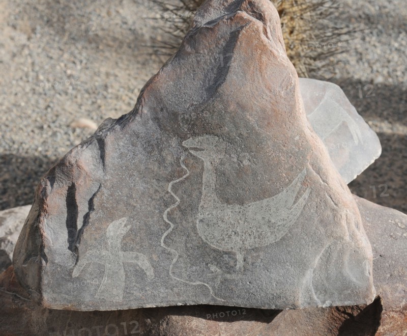 Stone Figures, Miculla Sacred Valley, Tacna, Peru, 2015.