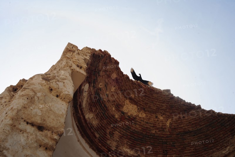 Zaña, Lambayeque, Peru, 2015.
