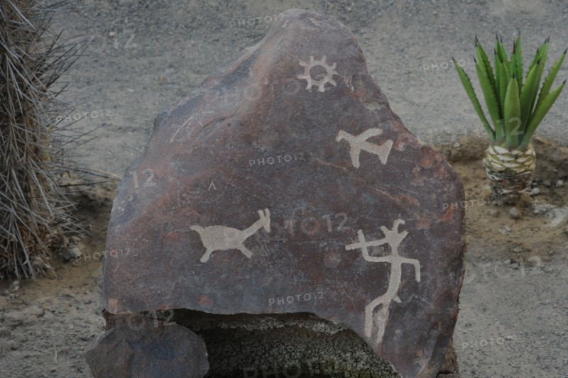 Stone Figures, Miculla Sacred Valley, Tacna, Peru, 2015.