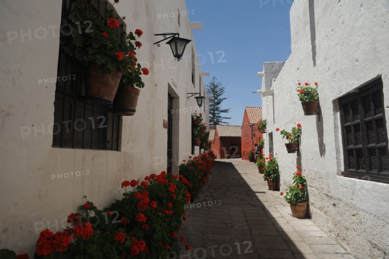 Santa Catalina Monastery, 2015.