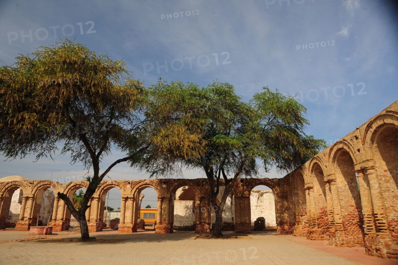Zaña, Lambayeque, Peru, 2015.