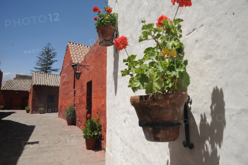 Santa Catalina Monastery, 2015.