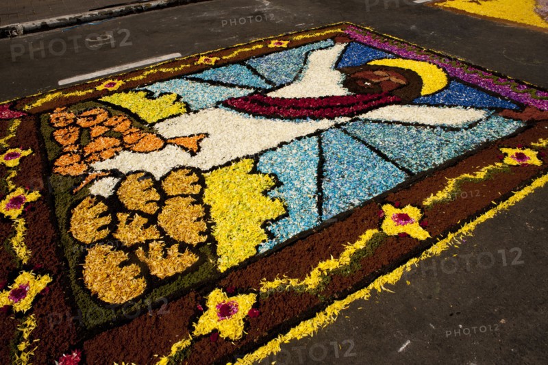 Holy Week Surco Flower Carpet, Lima, Peru, 2015.