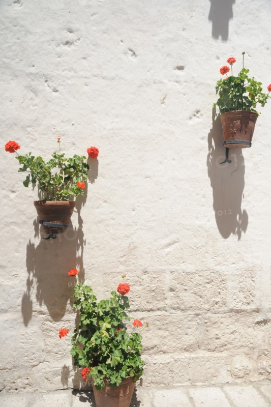 Santa Catalina Monastery, 2015.