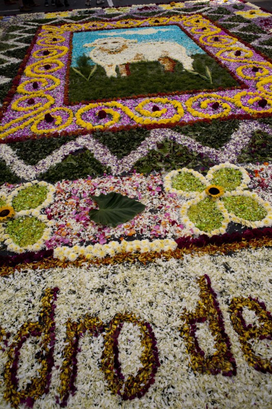 Holy Week Surco Flower Carpet, Lima, Peru, 2015.