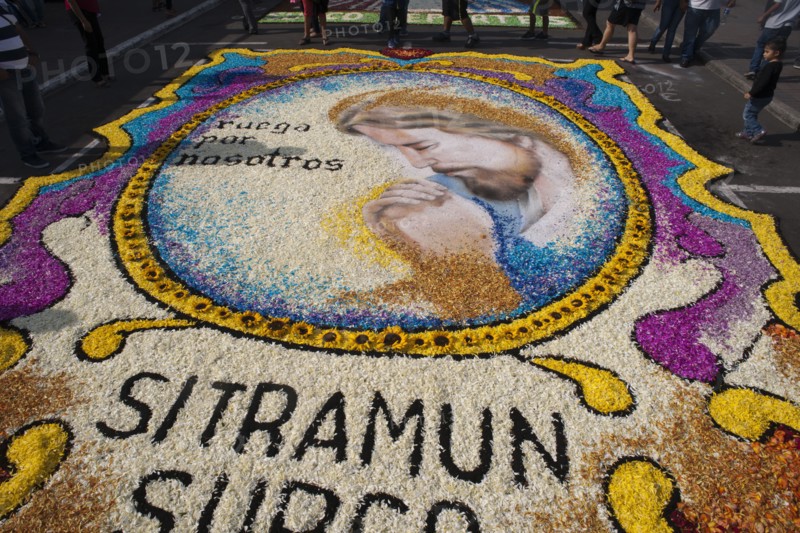 Holy Week Surco Flower Carpet, Lima, Peru, 2015.