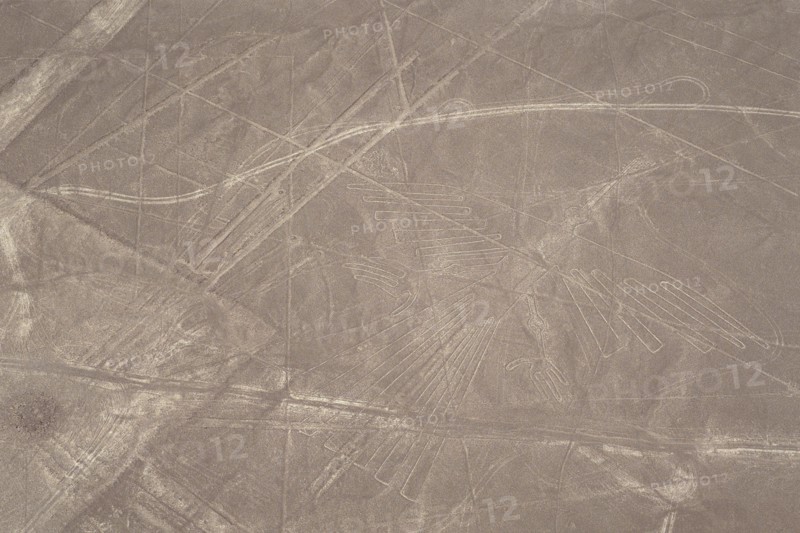 The Condor, Nazca Lines, Ica, Peru,  2015.