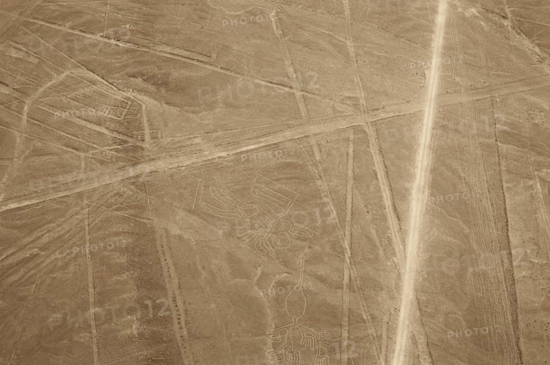 The Condor, Nazca Lines, Ica, Peru, 2015.
