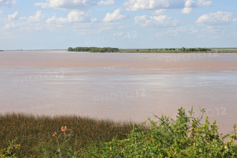Parana River, Buenos Aires, Argentina, 2015.