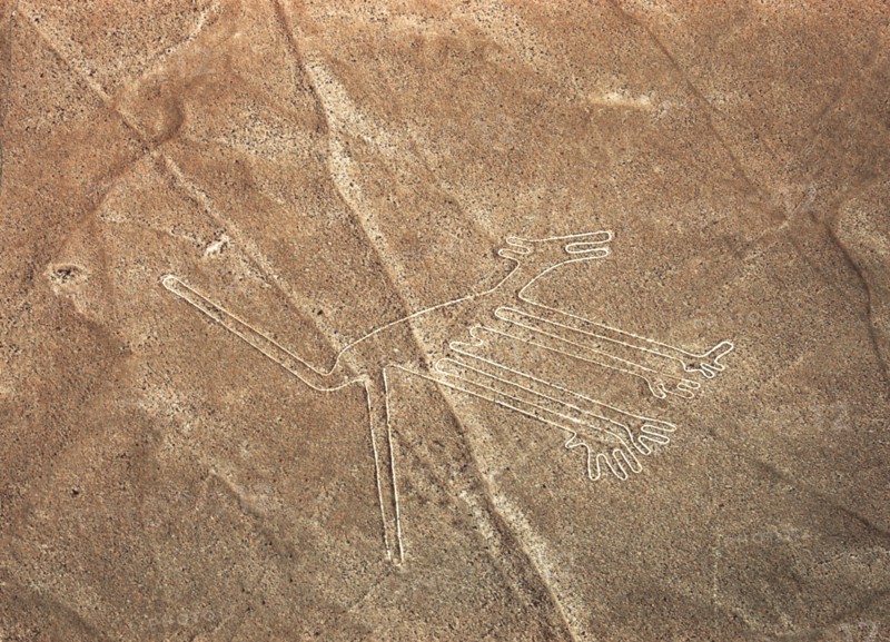 The Dog, Nazca Lines, Ica, Peru, 2015.