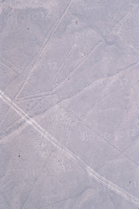 The Dog, Nazca Lines, Ica, Peru, 2015.