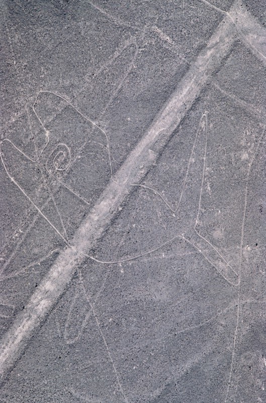 The Whale, Nazca Lines, Ica, Peru, 2015.