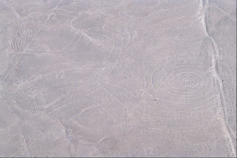The Monkey, Nazca Lines, Ica, Peru, 2015.