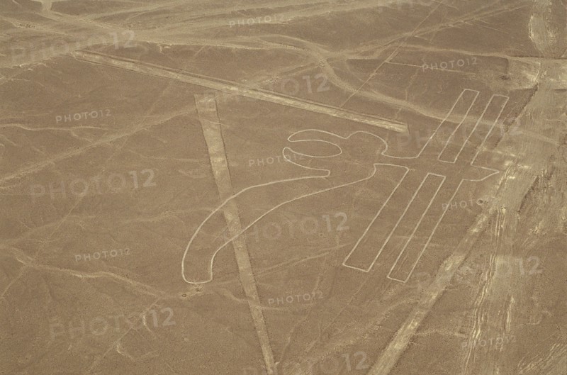 The Parrot, Nazca Lines, Ica, Peru, 2015.
