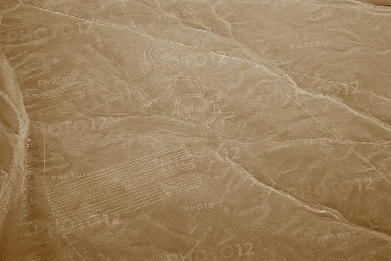 The Monkey, Nazca Lines, Ica, Peru, 2015.