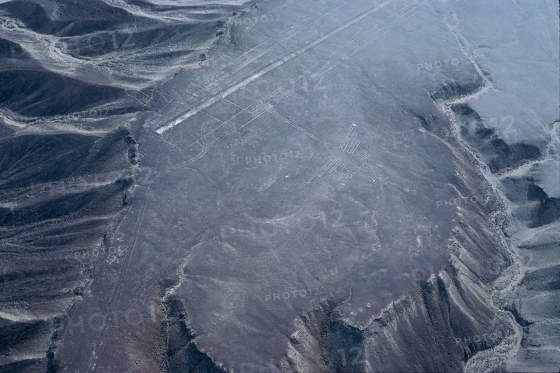The Hummingbird, Nazca Lines, Ica, Peru, 2015.