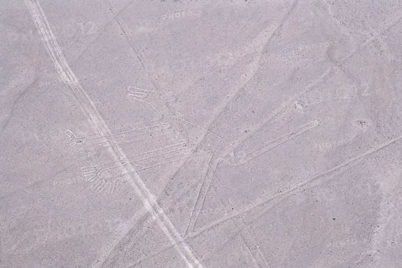 The Dog, Nazca Lines, Ica, Peru, 2015.