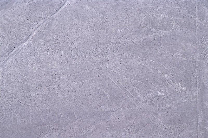 The Monkey, Nazca Lines, Ica, Peru, 2015.