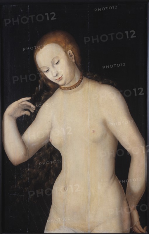 Venus, Between 1527 and 1531.