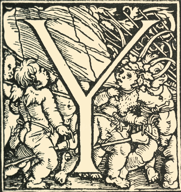 Y - An Alphabet by Hans Weiditz', c1520-1521, (1908).